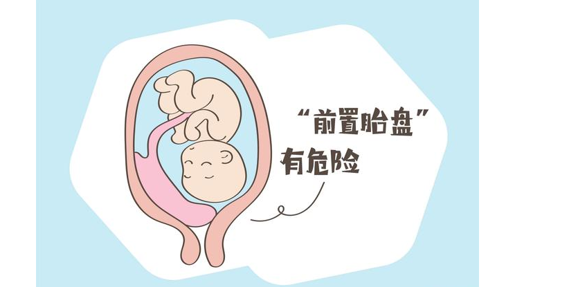 2026年武汉中**院试管婴儿生子收费明细？武汉市试管婴儿？