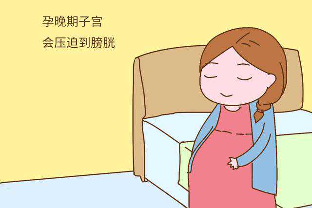 试管知识：武汉三代试管婴费用.